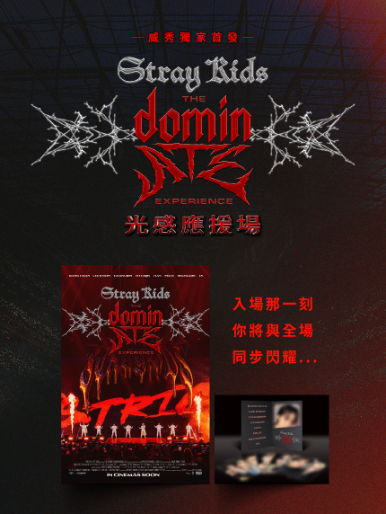 《Stray Kids: The dominATE Experience》光感應援場