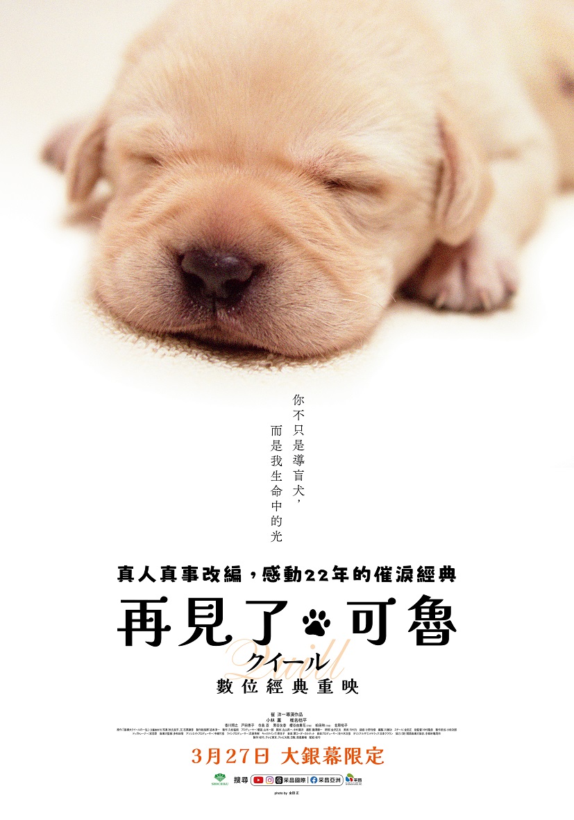 再見了，可魯：數位經典重映